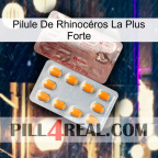 Pilule De Rhinocéros La Plus Forte new13